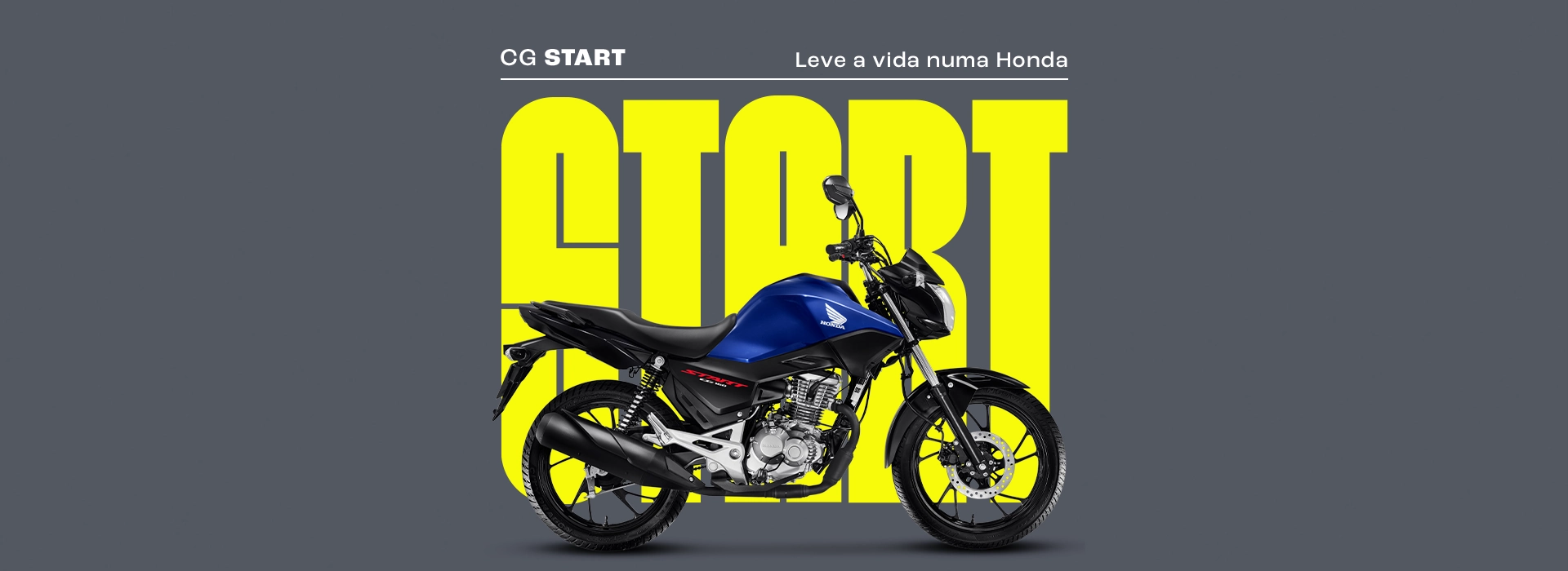 Frota MT Loc Motors